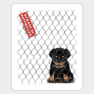 Beware of Rottweiler Magnet